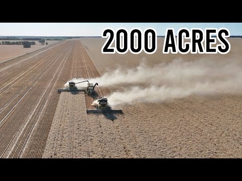 It’s a Big Paddock! | Contract Harvesting Wheat | Harvest 2024 | Vlog 326