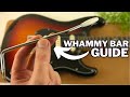How To Use A Whammy Bar Easy Guide