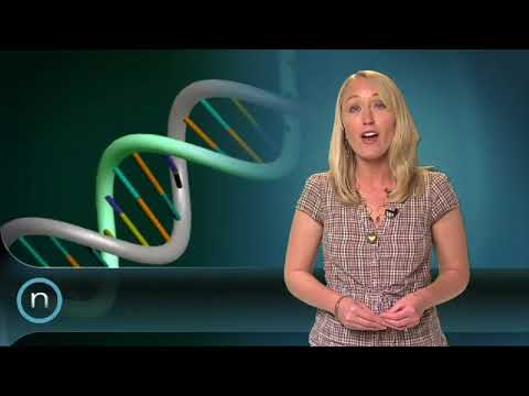 Unidentified Remains Unit is created (2010-10-29)