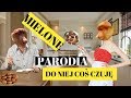 Janusz - MIELONE (Mig - Do niej coś czuję PARODIA/COVER) | Atsydorap Janusz - MIELONE (Mig - Do niej coś czuję PARODIA/COVER) | Atsydorap