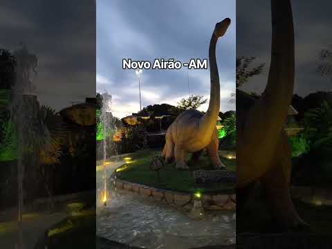 Novo Airão -AM #amazonas #shortsviral