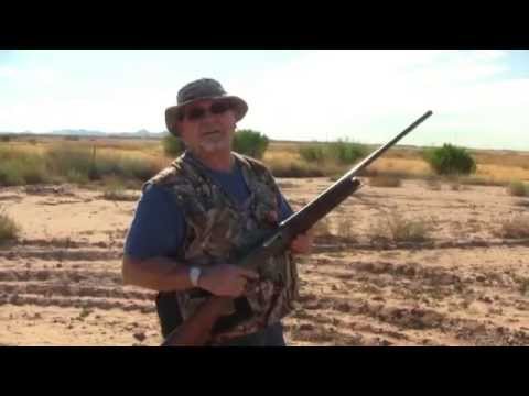 Franchi update & Dove hunt 2014