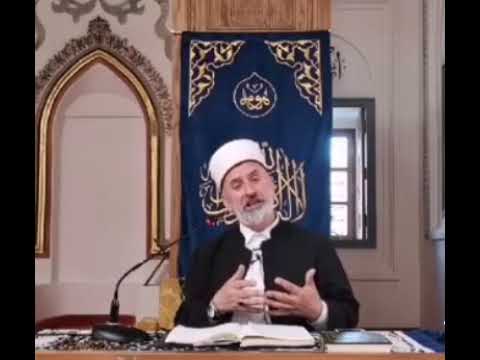 Athu pse buzeqeshi Aliu r. a para se te I del shpyrti