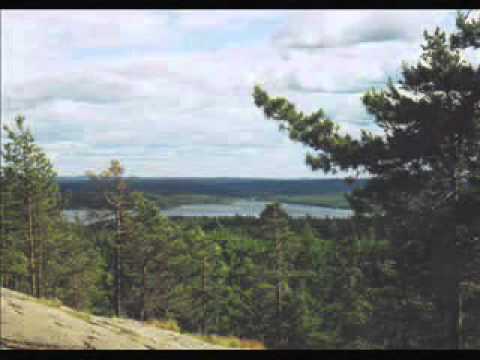 Siegfried Günther: Die Trolle - wie sie leben