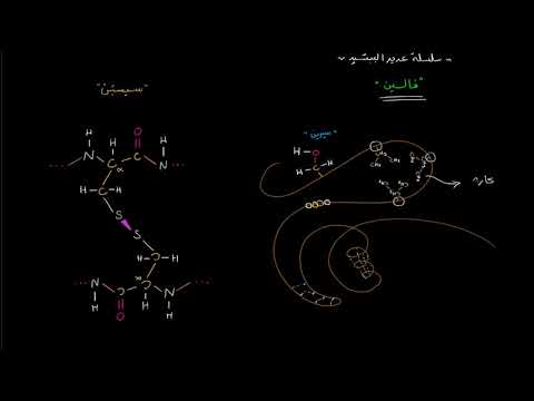 الصف العاشر الأحياء الجُزيئات الضخمة البُنية الثلاثية للبروتين