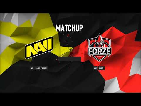 Coldzera peeks NiKo | CS:GO Highlights