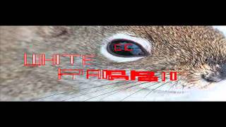 egypt central white rabbit chipmunk version.wmv