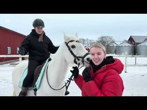 Wilma hittar hobbyn!