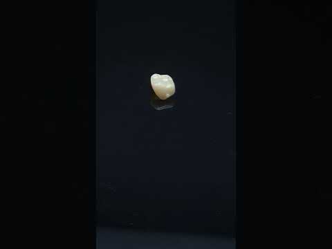 YouTube 썸네일