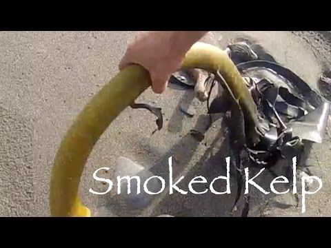 Can you use seaweed to smoke food? Yes, but keep this in mind