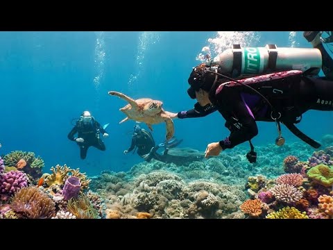 Tubbataha - Earth’s Most Protected Reef