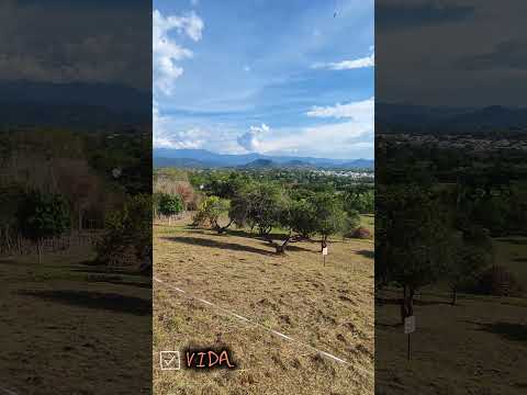 #lotes en #condominio en #anapoima Cund desde 761 M2 excelente vista