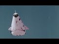 Flight Without Wings NASA AFRC DFRC Documentary About Lifting Bodies By John McTigue