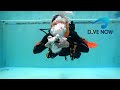 How To Survive A Free Flowing Regulator - Essential Scuba Skills