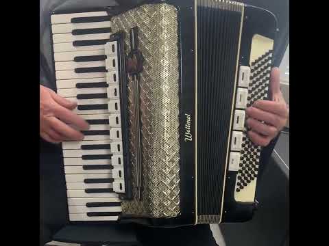 Rare Old/Vintage/Antique, German Made Piano Accordion Weltmeister - 120 bass, 16 registers (11+5) - Golden Era - Youtube VIDEO image 21