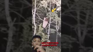 Download lagu PENAMPAKAN SUNDEL BOLONG ‼️ #funny #kapalhantu #horror #memes #hantu #horrorstories #humor #comedy mp3