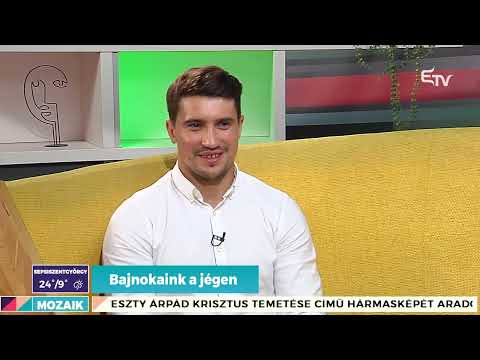 Bajnokaink a jégen – Mozaik