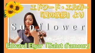 Download lagu 相知 明日香 - Sunflower ~エドワード・エルガー「愛の挨拶」より~ mp3
