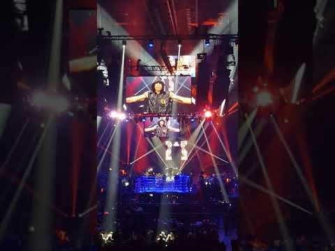 Opkomst Alex pereira collision ll