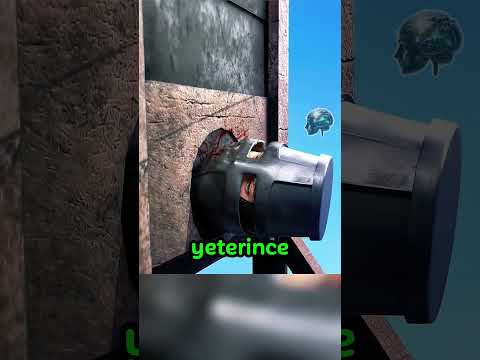 Is It Possible to Escape the Guillotine with Chainmail and a Helmet? 🏰 🗡️ 🛡️