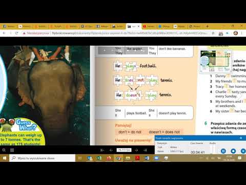 Present SImple Klasa 4 Junior Explorer