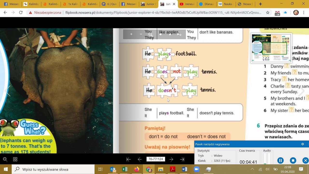 Present SImple Klasa 4 Junior Explorer