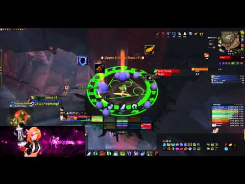 Onineko - Ji-Kun 10M Nest Tutorial!