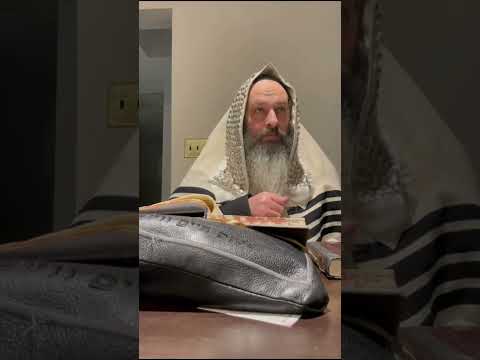 די שדכן גערופן בשעת מתפלל זיין ביים ריבניץ ציון אז מען קען גיין ווייטער