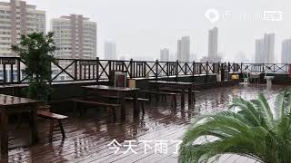 悦悦受到邀请，参加助农直播大赛，看看现场都有哪些大咖？