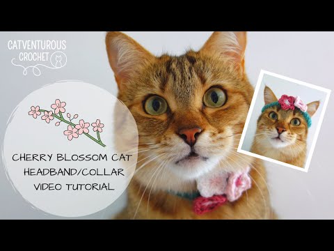 Cherry Blossom Cat Headband/Collar - Catventurous Crochet