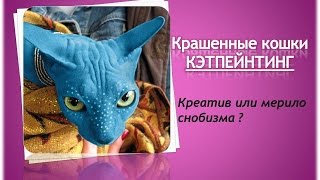 КРАШЕННЫЕ КОШКИ. КРЕАТИВ или СНОБИЗМ/Cat painting - creative or standard of snobbery