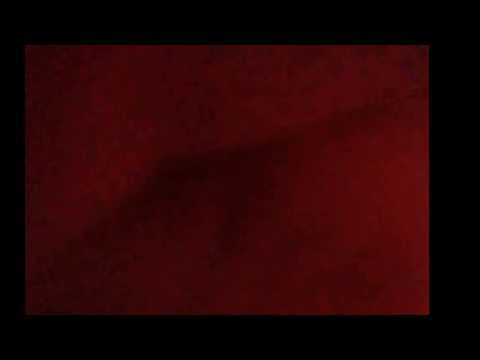 froggy fresh & money maker mike