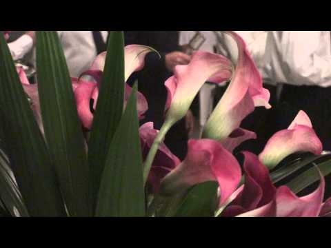 O AMOR DIVINO - FLOR DE JAGUBE - ANTÔNIO GOMES 25