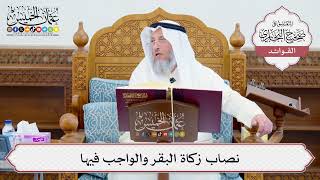 [642] نصاب زكاة البقر والواجب فيها - عثمان الخميس