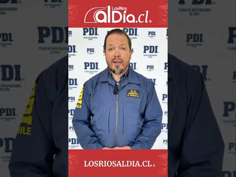 PDI incauta 198 plantas y 2,7 kilos de cannabis tras desbaratar falso club cannábico en Valdivia