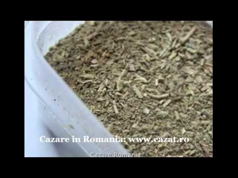 Cazare Giulvaz, Timis - Cazat.ro