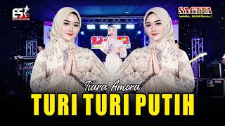 Download lagu Tiara Amora - Turi Turi Putih | Sagita Djandhut Assololley | Dangdut mp3 Download lagu Tiara Amora - Turi Turi Putih | Sagita Djandhut Assololley | Dangdut mp3