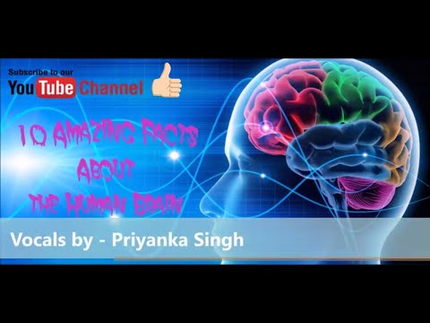 10 Amazing Facts about Brain