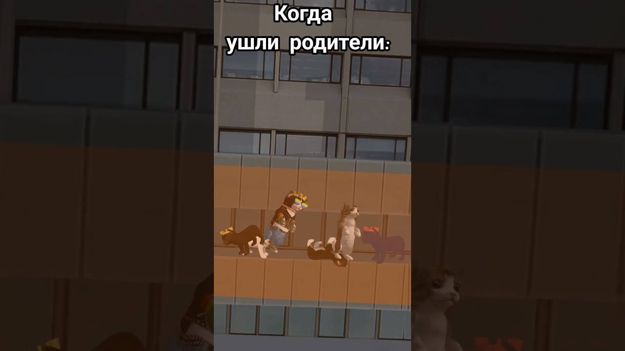 Когда остался 1 дома #catsimulatoranimallife #cats #roblox #music #funny #fyp #youtubeshorts #актив