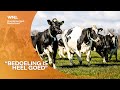 Deel Kamer in verzet tegen omstreden wijziging in dierenwet