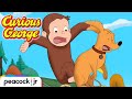 Surprise Birthday Party Gone Wrong CURIOUS GEORGE