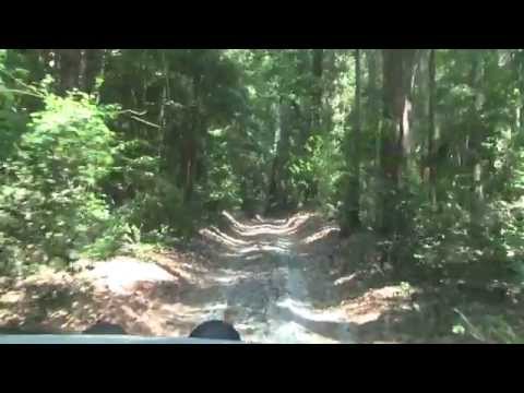 Inland Fraser island bush tracks 2012