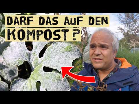 Kompostierung: Mehltau und Tomatenblätter richtig entsorgen?