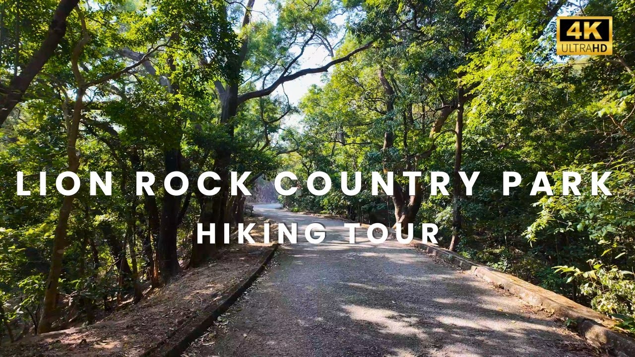 Step-by-step guide to hiking Lion Rock in Hong Kong.