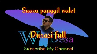 Download lagu Suara panggil walet || durasi full satu jam mp3 Download lagu Suara panggil walet || durasi full satu jam mp3