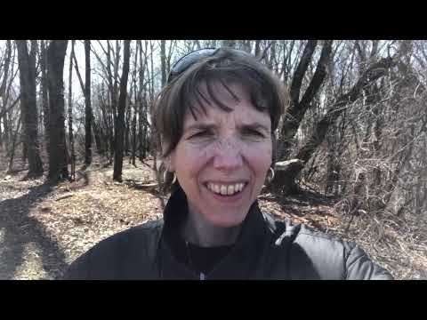 Norwegian Conversation