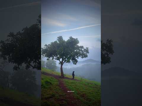 A dreamy morning🍃Horizon Hills, Malappuram #keraleeyar #travel #mountains #nature #morning