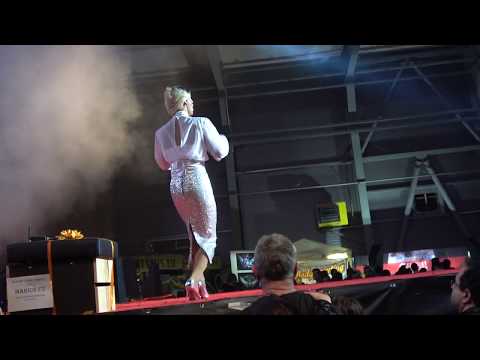 Erotický veletrh Erofest 2018 Helena Vondráčková travesti Divoké Kočky