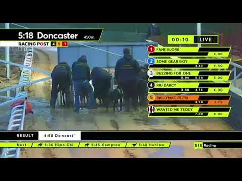 Carreras de Galgos - Doncaster DG 2021