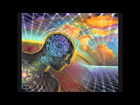 Chook and Phace - Frozen HQ